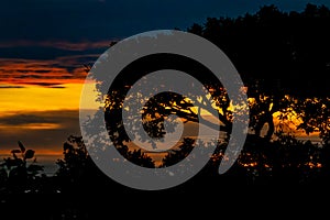 Beautifully colorful sunset viewed through typical African shaped tree on horizon, in Zimbabwe in region called Marondera