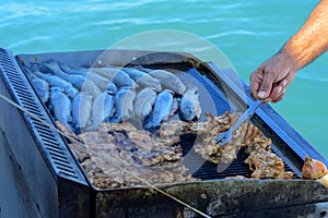 Beautifully cooked fried pieces of quail meat and whole trout fish on an electric grill on a yacht in the open sea. The concept of