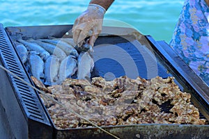 Beautifully cooked fried pieces of quail meat and whole trout fish on an electric grill on a yacht in the open sea. The concept of