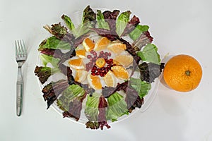 Beautifully curated Salad plate with oranges, pomegranate and celery