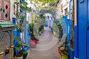 Colourful alleys of Tangier medina photo