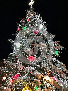 Beautifully decorated Christmas tree outside