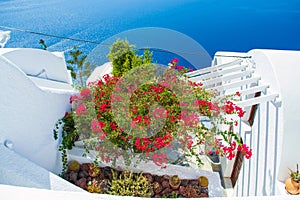 Beautifully decorated rooftop at Caldera waterfront Santorini Greece