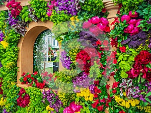 Beautifully designed gardens with plants and variegated flower compositions at RHS Chelsea Flower Show.