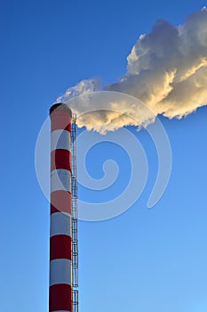 Beautifully fuming pipe