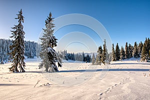 Krásně osvětlené sluncem na horách a pokryté sněhem, slovensko velký choc
