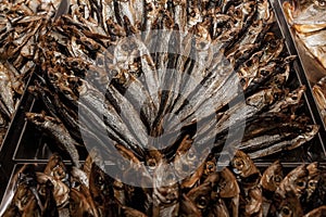 Beautifully laid out dried fish capelin