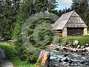 Beautifully old wooden houses in beautiful nature full of trees and flowers.Slovakia