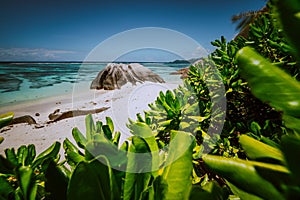 Beautifully shaped granite boulder framed with green leaves at Anse Source d`Argent beach, La Digue island, Seychelles