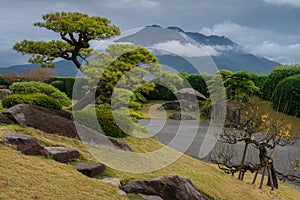 Beautifully shaped trees and landscape inside the Senganen japanese garden, with in the background the Sakurajima volcano