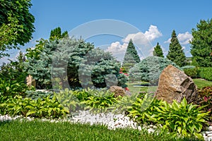 Beautiful backyard garden with nicely trimmed bonsai, bushes and trees.