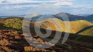 BeautifulView from the Long Mynd towards Caer Cardoc in late afternoon light, Shropshire, England photo