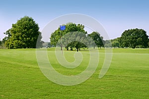 Beautigul Golf green grass sport fields