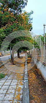 Beautiness of nature