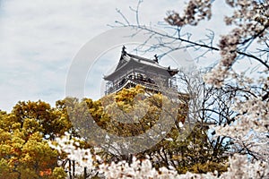 Beautioful shot of Hiroshima Castle in Japan