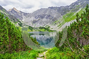 Krásné letní landscpae ve Vysokých Tatrách, Slovensko