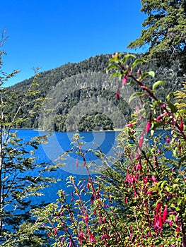 Beautiful landscape of San Martin de los Andes, Argentina