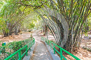 Beautuful Lodhi Garden with flowers, greenhouse, tombs and other sights, New Delhi, India