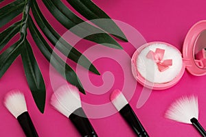 Beauty accessories, make-up cosmetics, face brushes and blush
