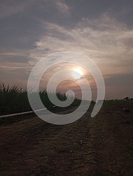 The beauty of the afternon