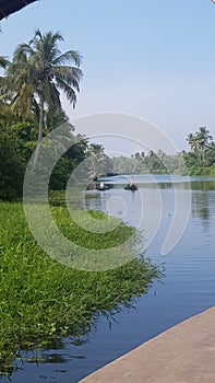 The beauty in the backwaters