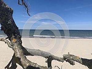 The beauty of the Baltic landscapes. Sea, sun, dunes, soft white sand, eternity, open spaces, s.