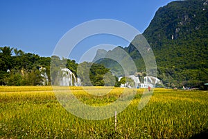 Beauty of Ban Gioc Waterfall in Cao Bang, Vietnam