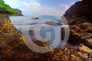 The beauty of the beach with cliffs, waves and trees on Karang Agung beach, Kebumen, Central Java, Indonesia