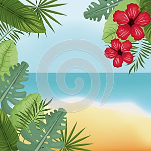 beauty beach hibiscus palm island