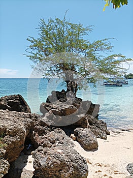 The beauty of the beach that makes us fascinated