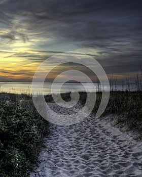 Beauty Beyond the Dunes