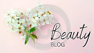 Beauty blog blogging text