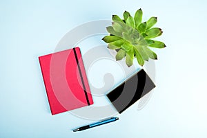 Beauty blog concept photo. Green plant, notebook, pen and mobile phone on blue background