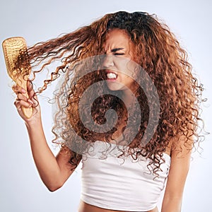 Beauty, brushing hair or curly and angry woman in studio on gray background with moody expression. Anger. hair and salon