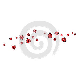 Beauty bug vector illustration icon