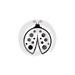 Beauty bug vector illustration icon