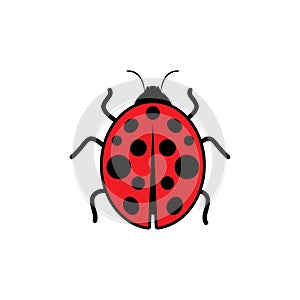 Beauty bug vector illustration icon