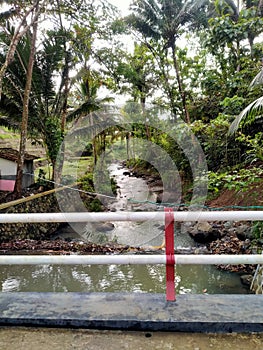 The beauty of the cipanas river photo