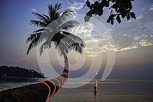 The beauty of coconut trees and tourists walking in the sea during sunset at Haad salad Beach , koh Phangan in Suratthani Thailand