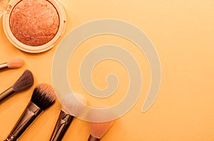 Beauty cosmetic makeup product layout. Fashion woman make up brushes. Stylish design background