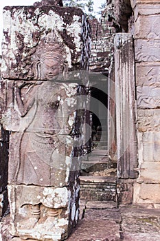 Beauty Dancing Apsaras an old Khmer art sand stone carving of Apsara status on the wall at world heritage, Siem Reap, Cambodia