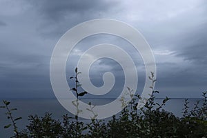 Dark Clouds, Grey Water, Green Plants photo