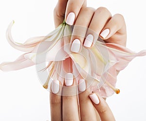 Beauty delicate hands with manicure holding flower