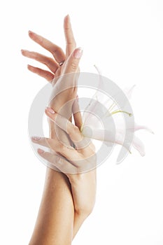 Beauty delicate hands with manicure holding flower lily close up isolated