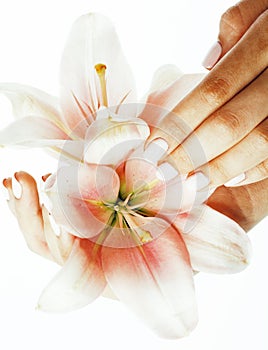 Beauty delicate hands with manicure holding flower lily close up isolated on white