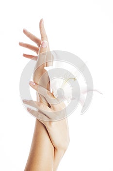 Beauty delicate hands with manicure holding flower lily close up isolated on white perfect shape