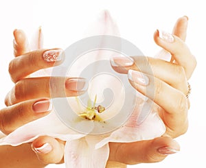 Beauty delicate hands with manicure holding flower lily close up isolated on white