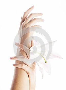 Beauty delicate hands with manicure holding flower lily close up isolated on white perfect shape