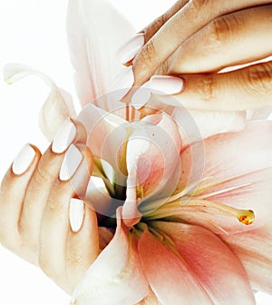 Beauty delicate hands with manicure holding flower lily close up isolated on white