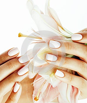 Beauty delicate hands with manicure holding flower lily close up isolated on white, spa concept